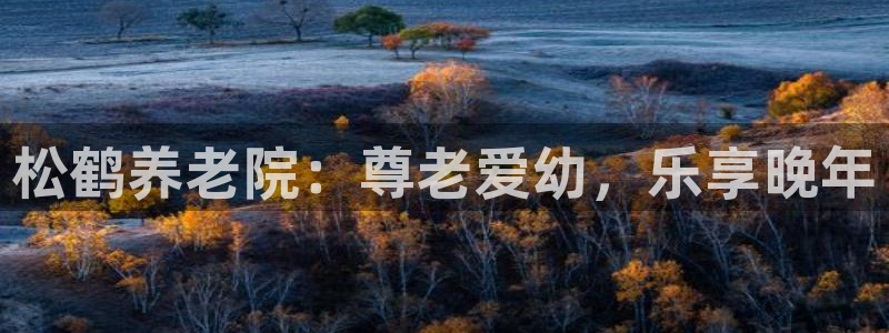 韦德属于什么