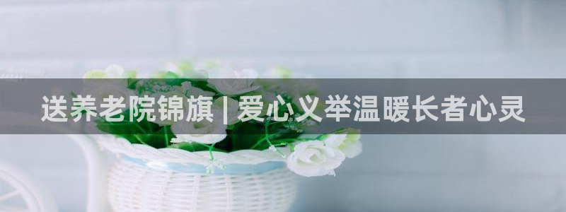 韦德是哪个