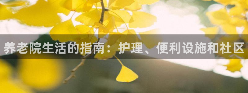 韦德官方下载