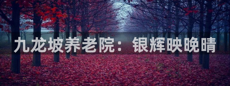韦德网址是多少