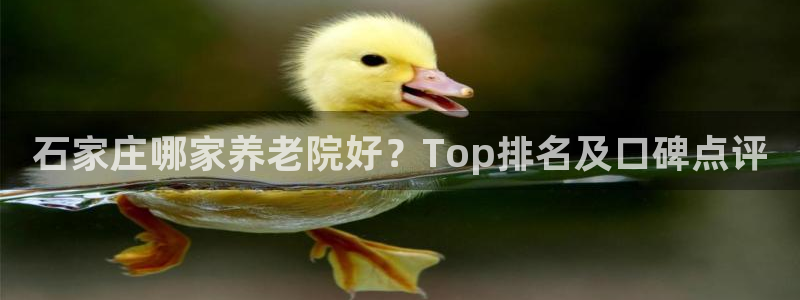 1946韦德游戏