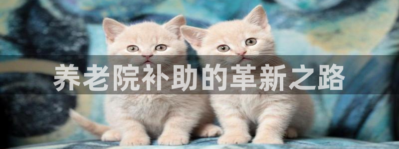 韦德1946网址