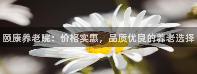 韦德1946网址