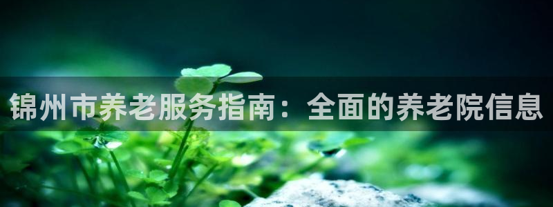 韦德1946体育