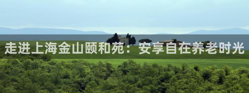 韦德1946备用网站