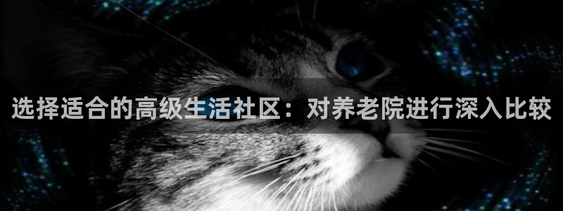 韦德新品