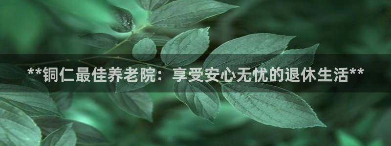 韦德是哪个