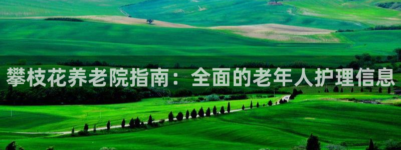 韦德2014