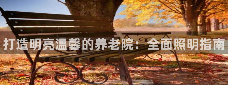 韦德网站是多少