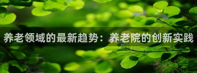 韦德1946体育官方入口