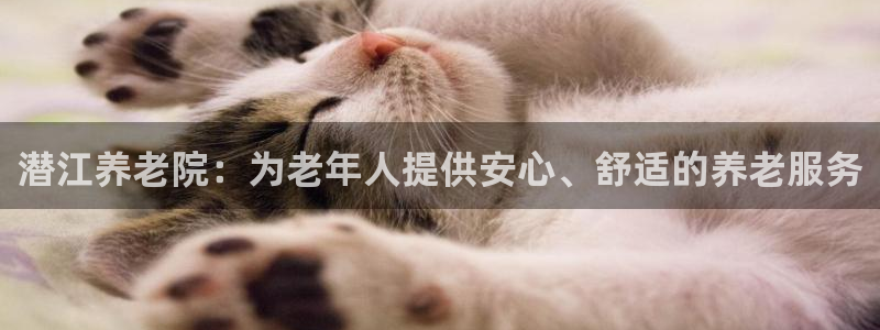 韦德官方网址