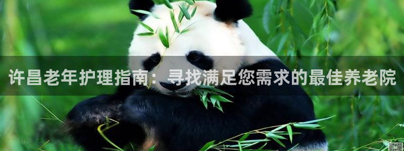 韦德游戏注册
