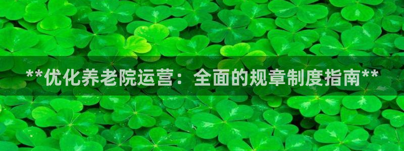 韦德网站是多少