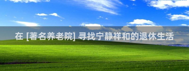 韦德观战总决赛G3
