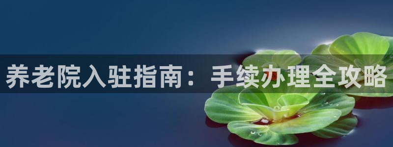 韦德1946备用网站