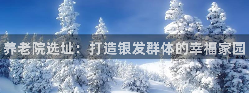 韦德1946官网最新版